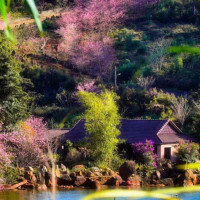 Mang Den 1 Day Tour Kon Tum