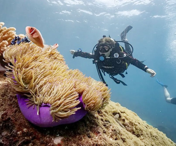 Quy Nhon Diving